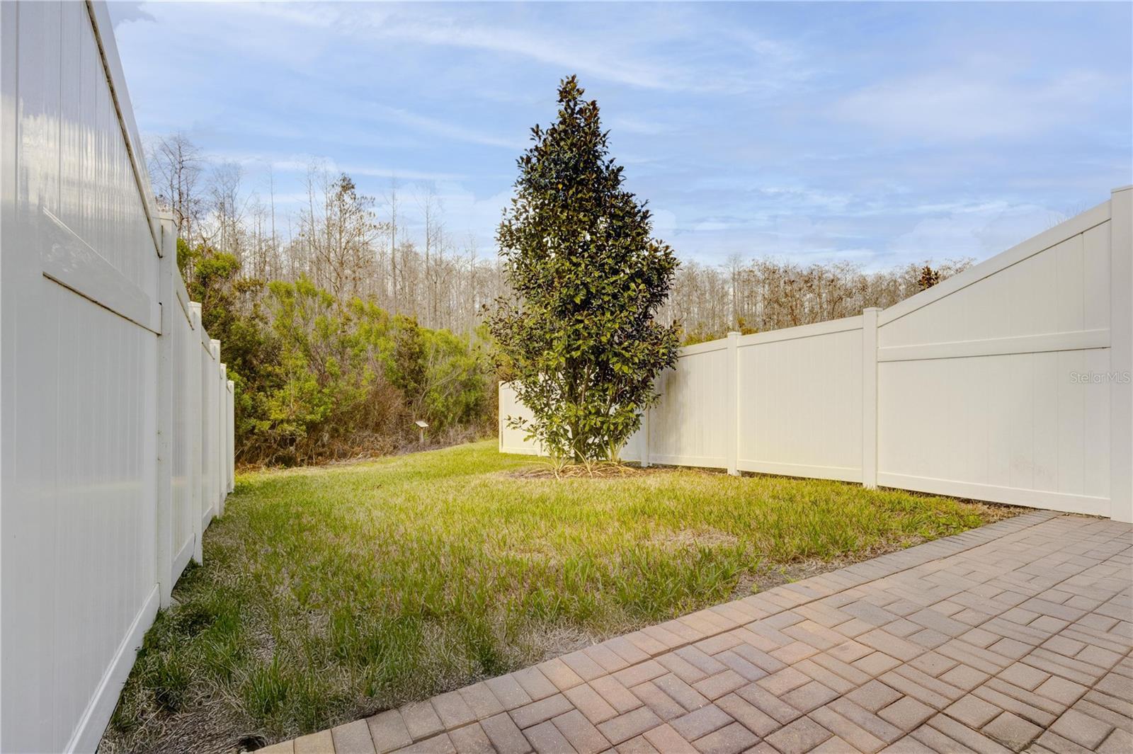 2403 Sedge Grass Way Property Photo 22