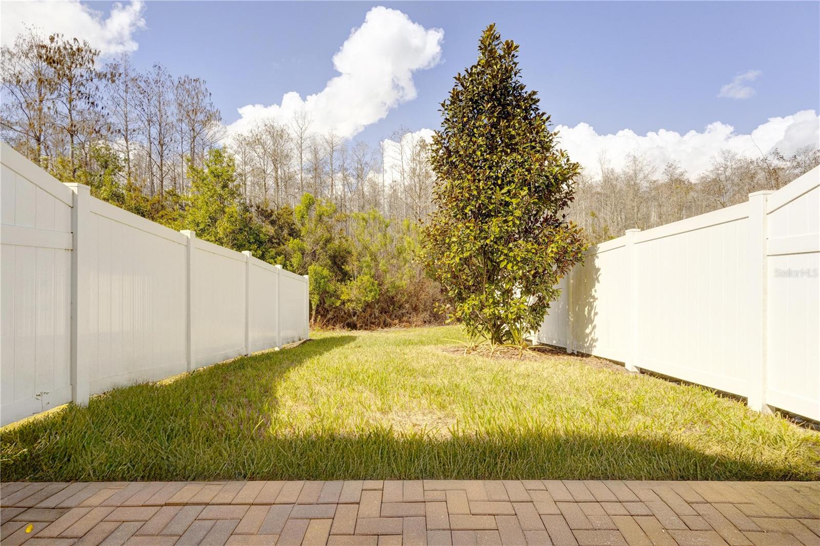 2403 Sedge Grass Way Property Photo 23