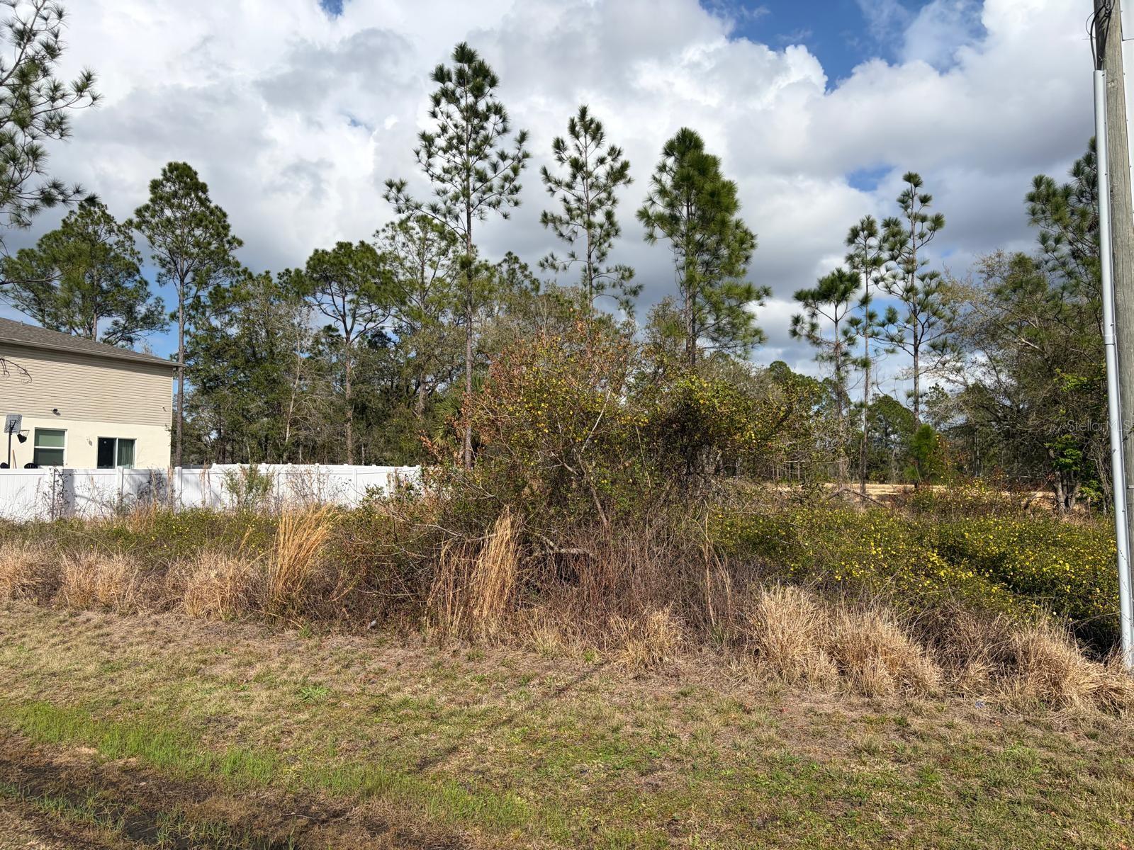 202 Spoonbill Dr Property Photo 3