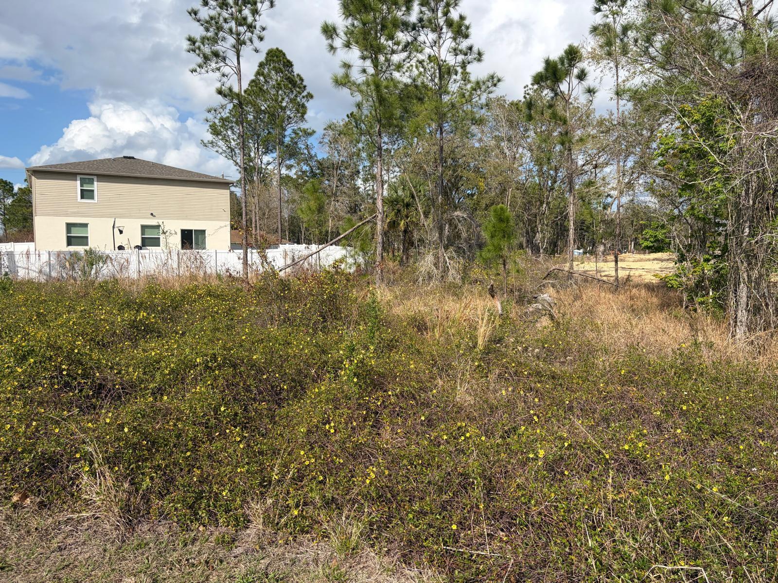 202 Spoonbill Dr Property Photo 5