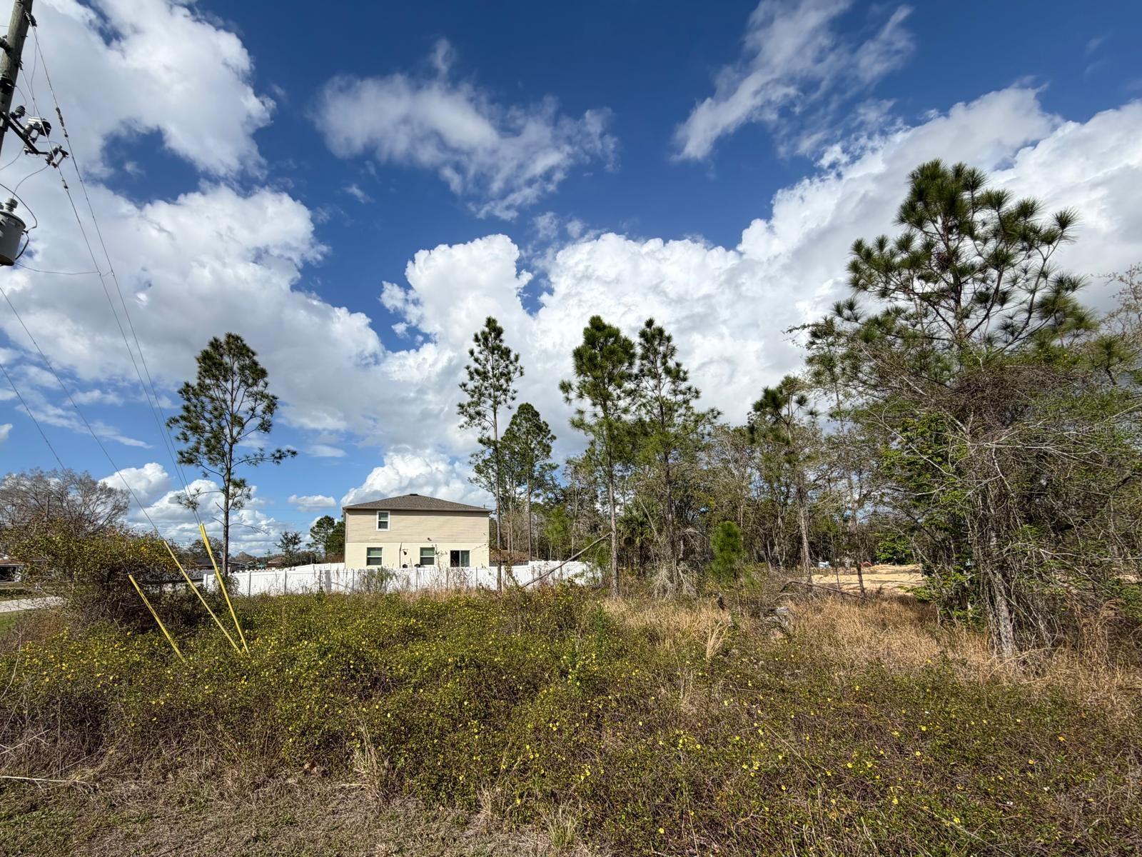 202 Spoonbill Dr Property Photo 7