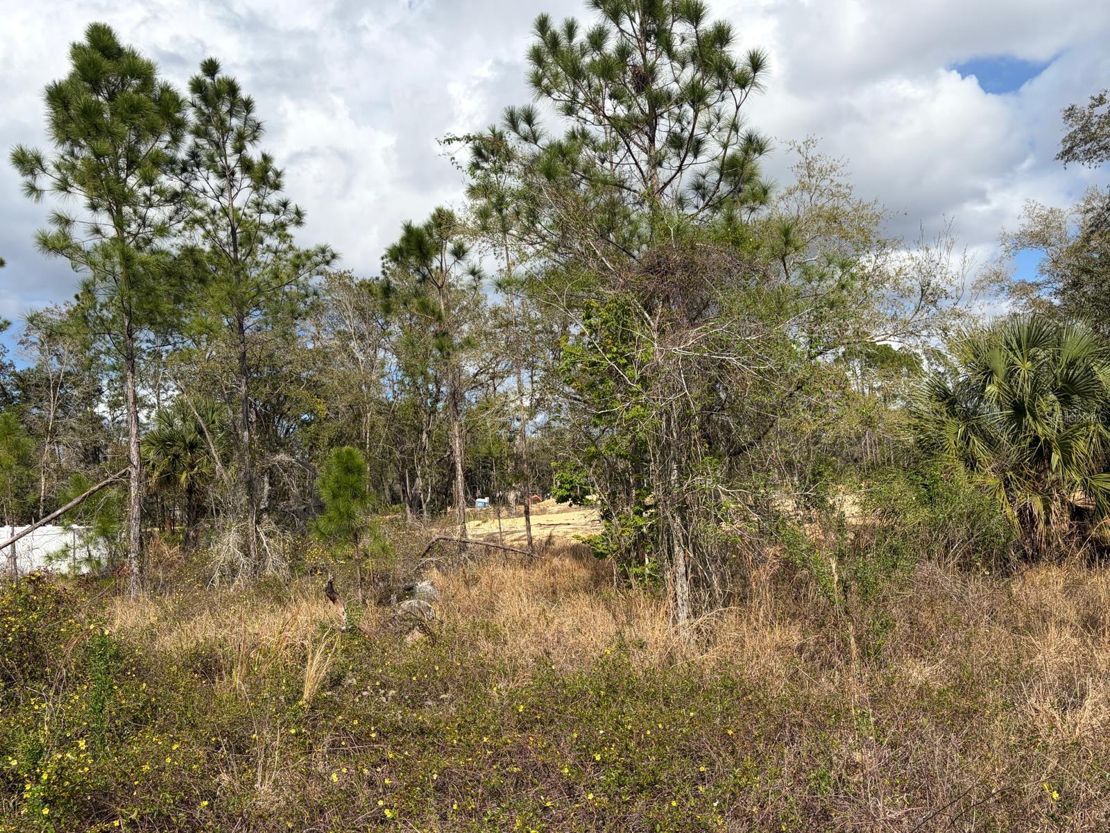 202 Spoonbill Dr Property Photo 8