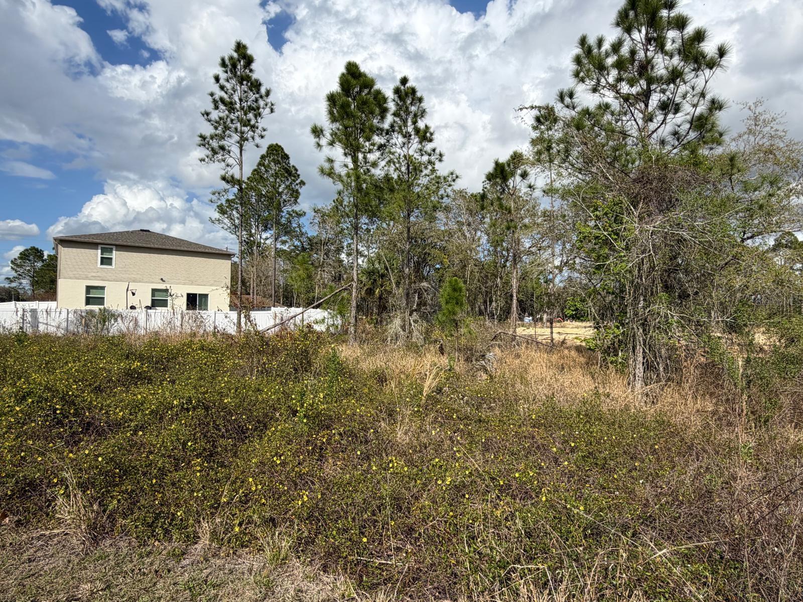 202 Spoonbill Dr Property Photo 9