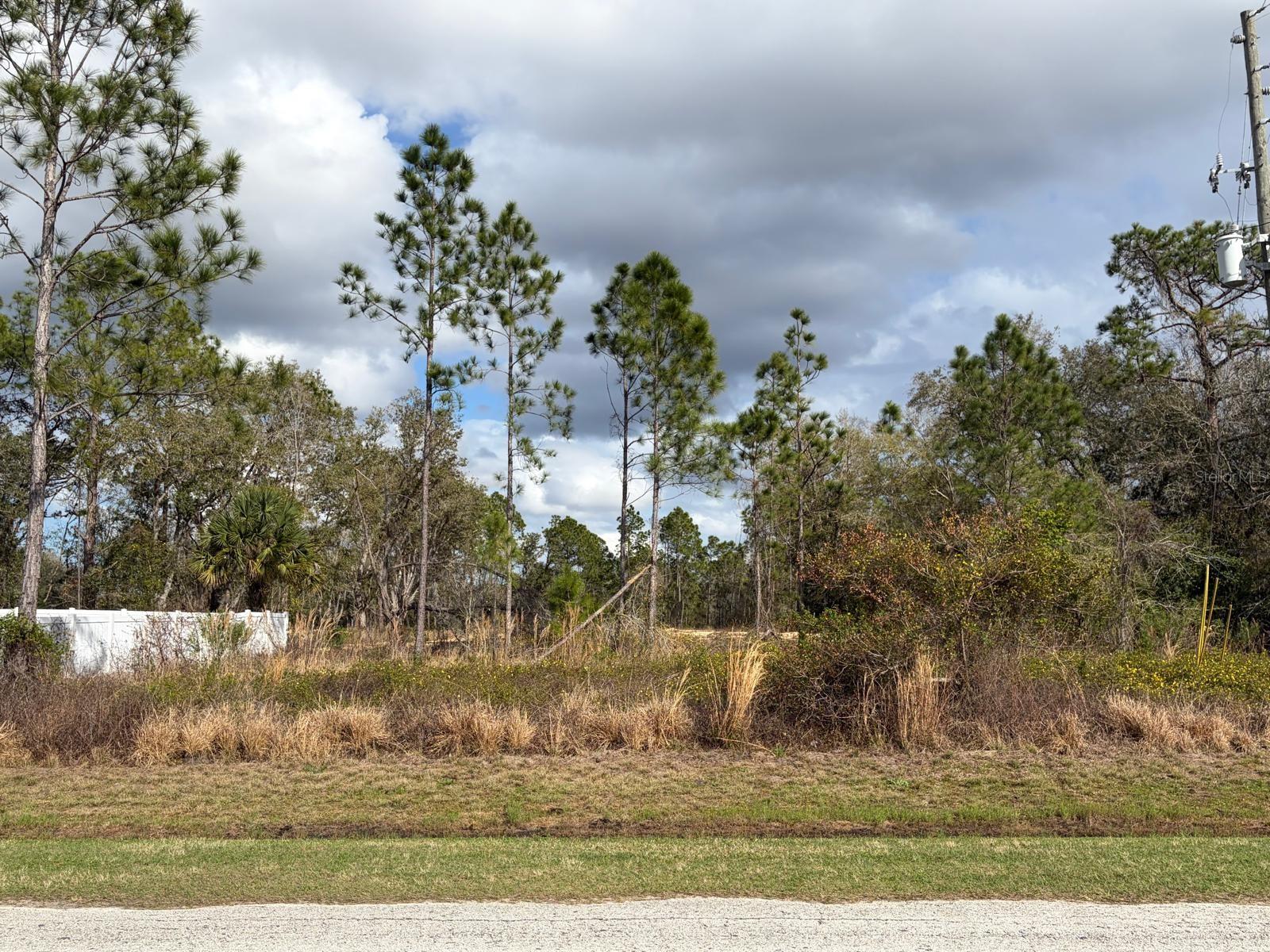 202 Spoonbill Dr Property Photo 11