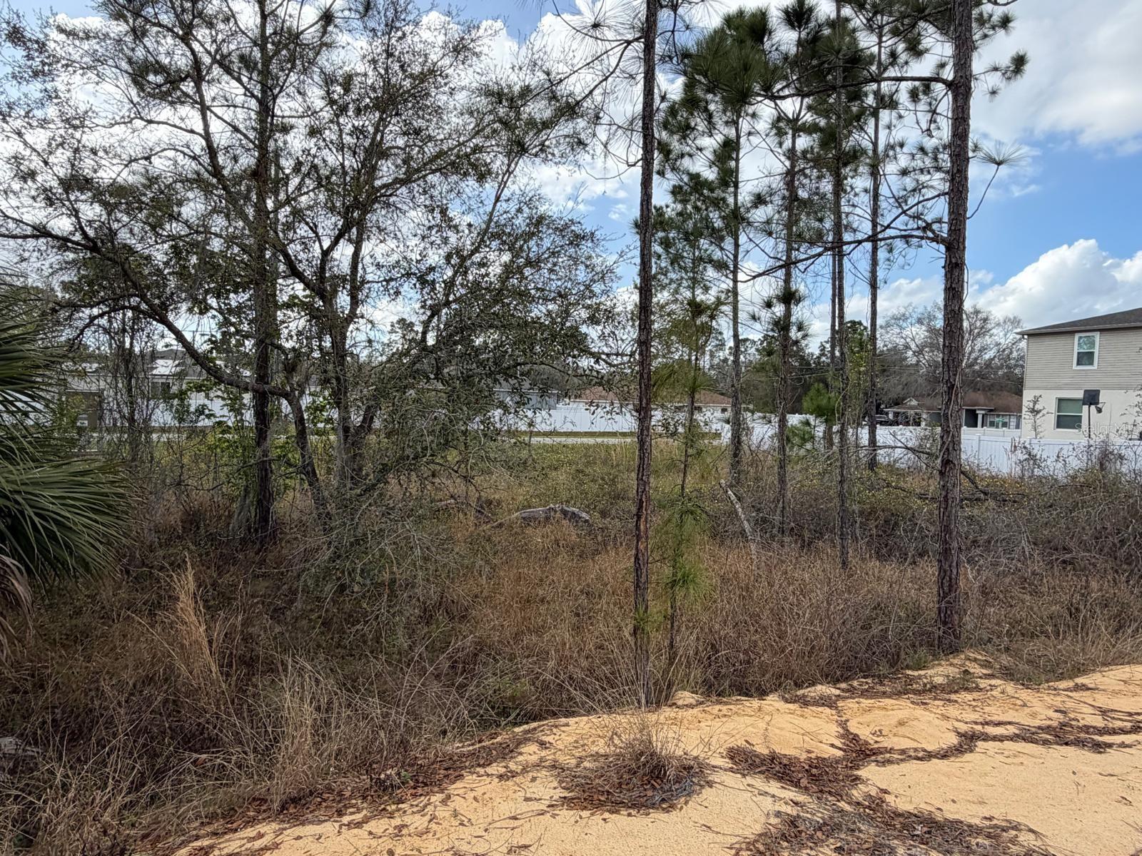 202 Spoonbill Dr Property Photo 15