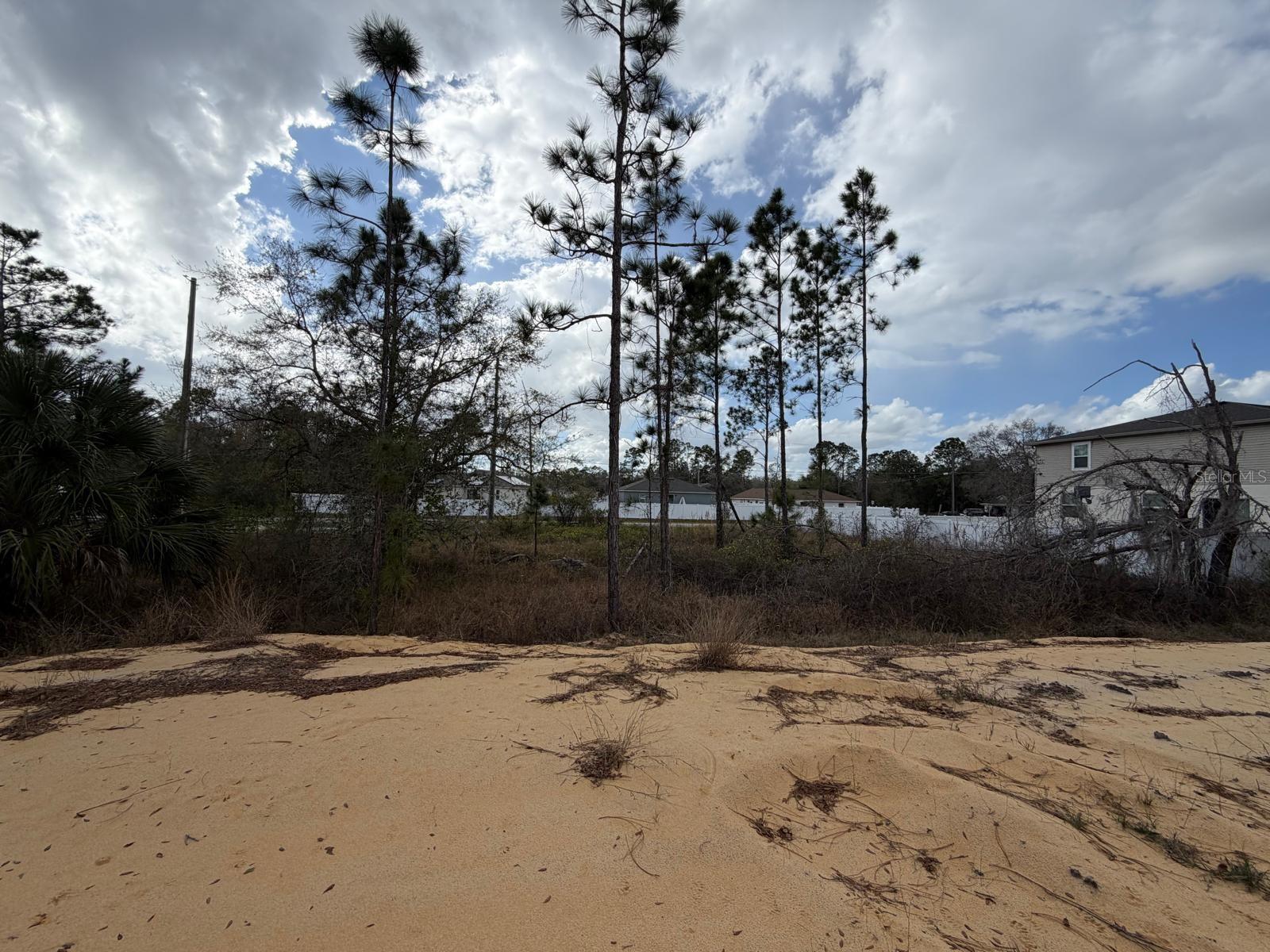 202 Spoonbill Dr Property Photo 16