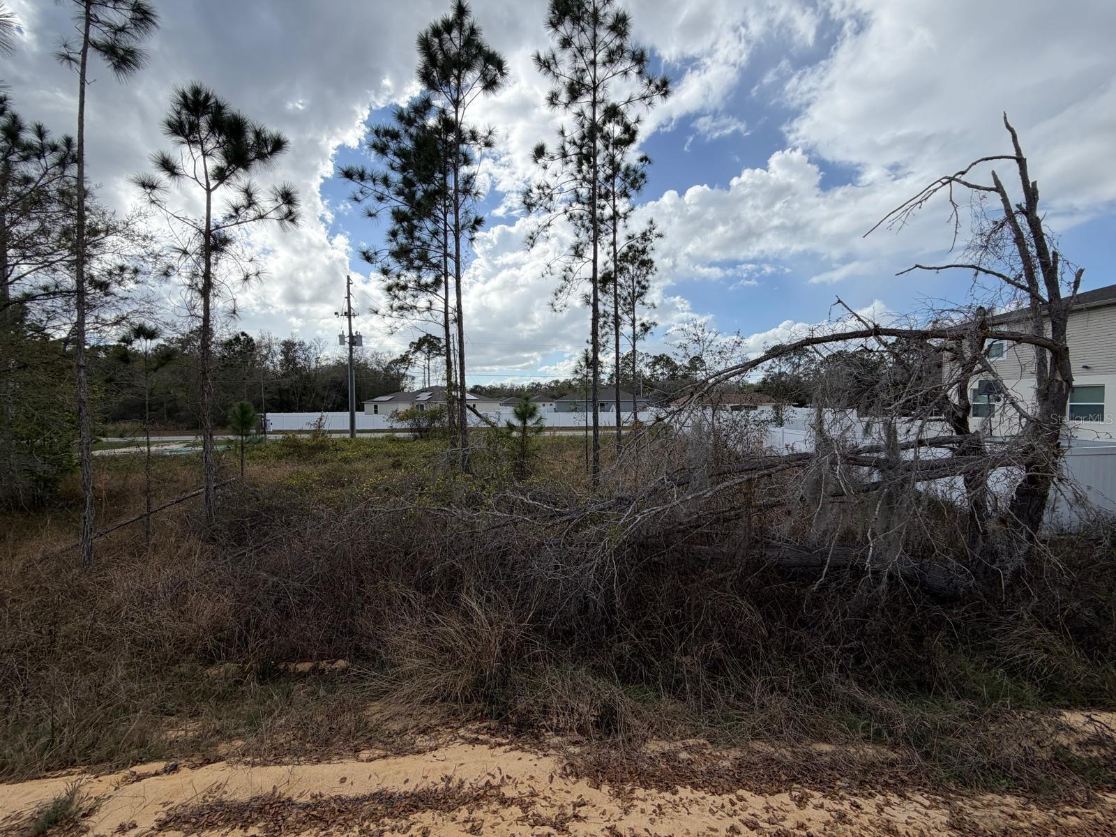 202 Spoonbill Dr Property Photo 17