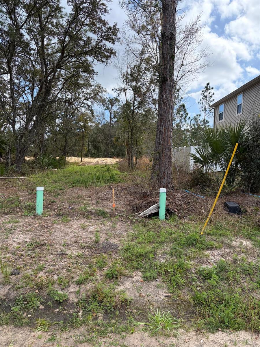 202 Spoonbill Dr Property Photo 19