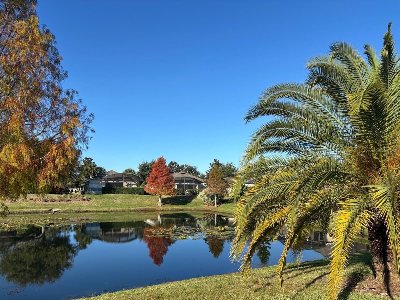715 Asturias Rd Property Photo 76