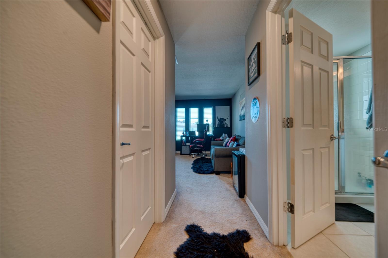 3390 Bellezza Ct Property Photo 13