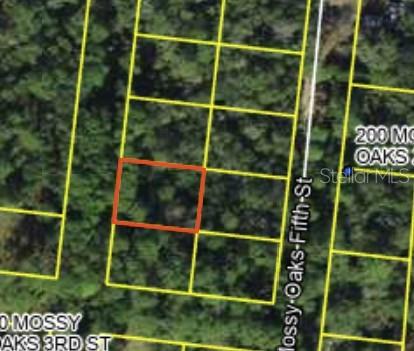 200 Mossy Oaks 4th St Property Photo 1