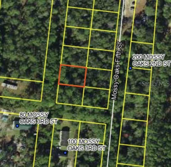 200 Mossy Oaks 4th St Property Photo 3