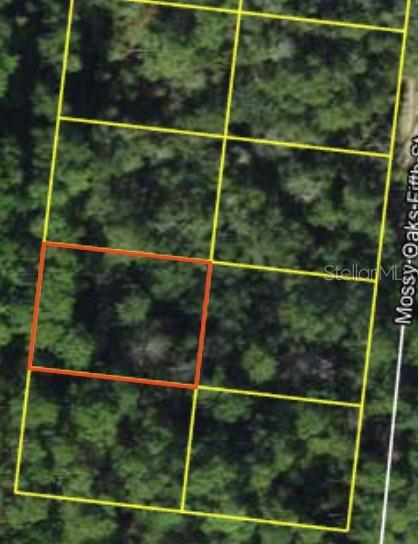 200 Mossy Oaks 4th St Property Photo 4