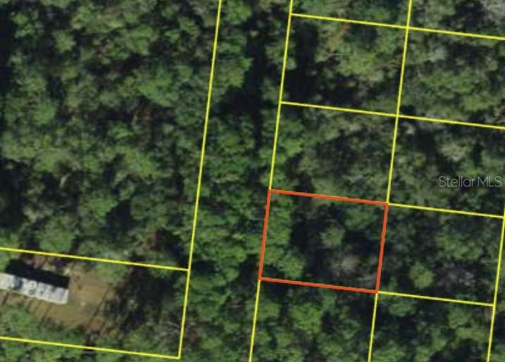 200 Mossy Oaks 4th St Property Photo 5