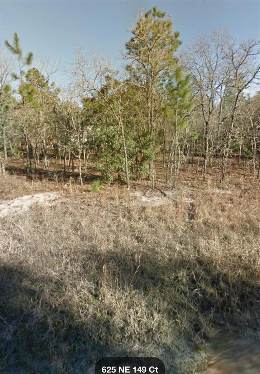 NE 149TH CT Property Photo 1