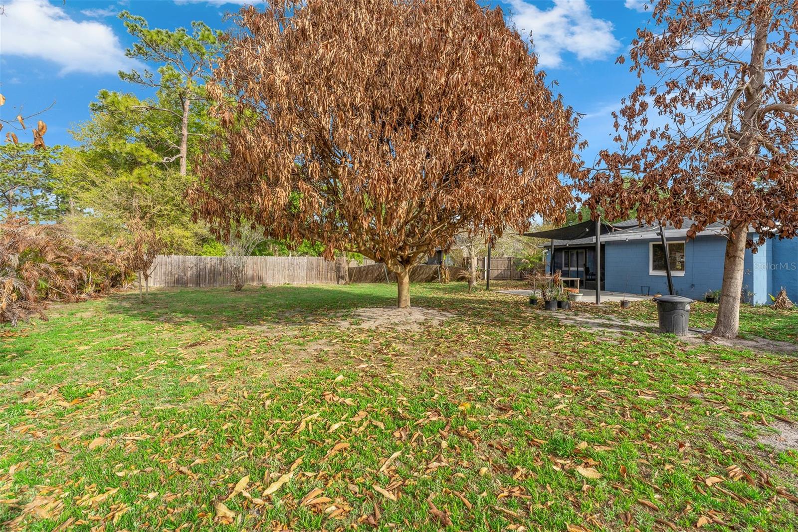 8509 Lyonia Dr Property Photo 35