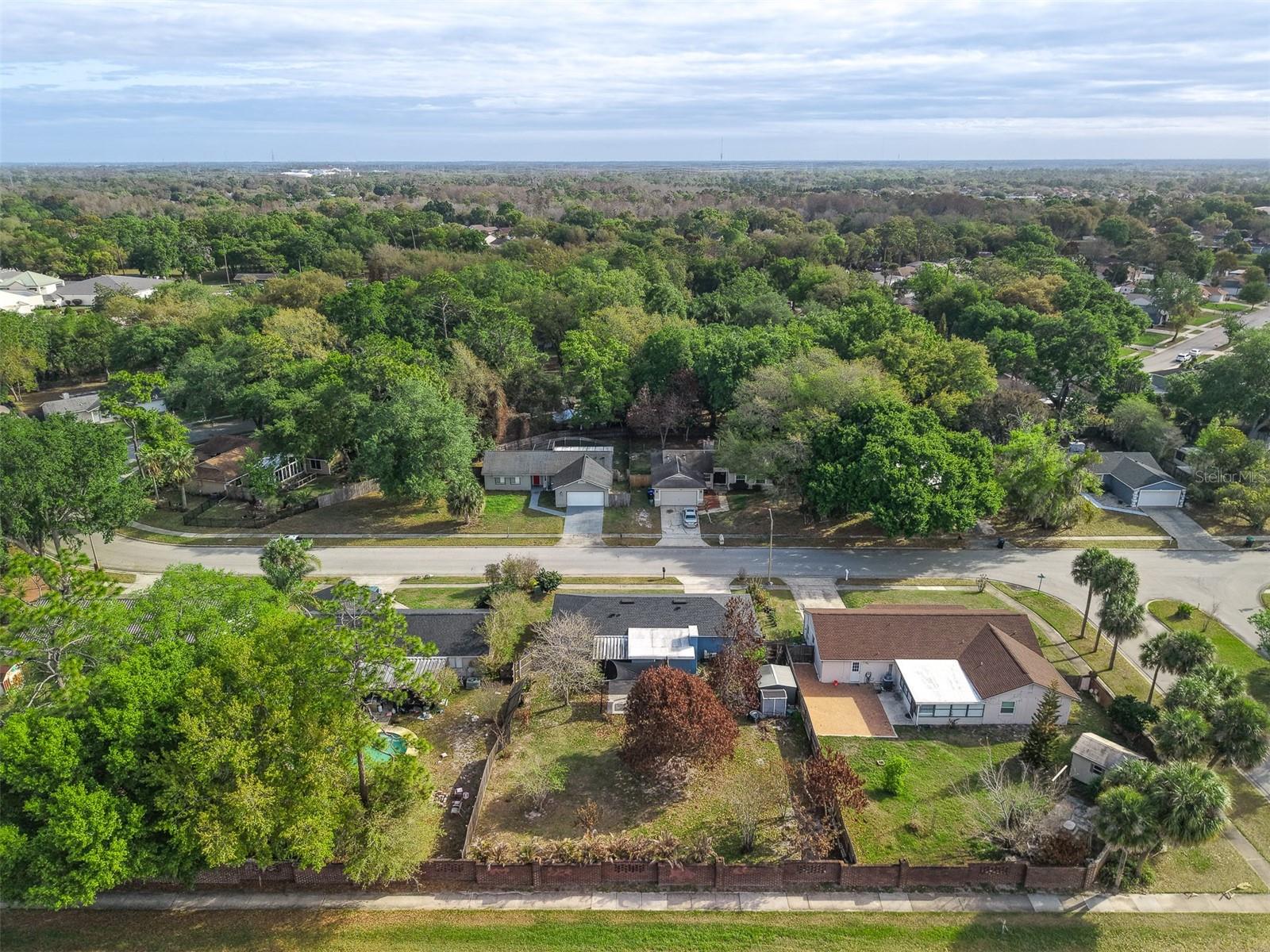 8509 Lyonia Dr Property Photo 40
