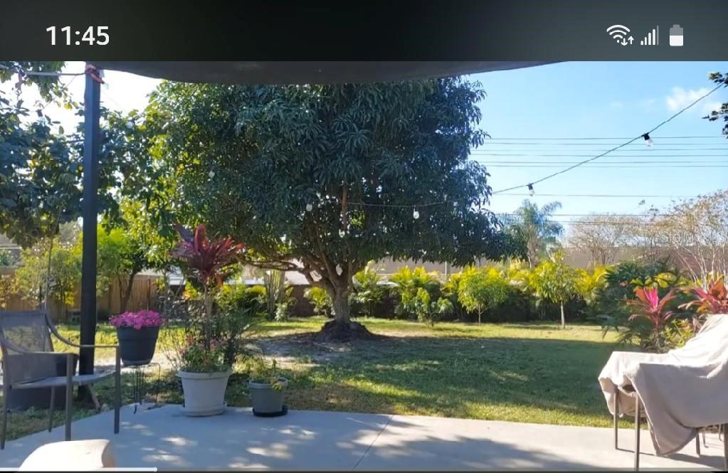8509 Lyonia Dr Property Photo 43