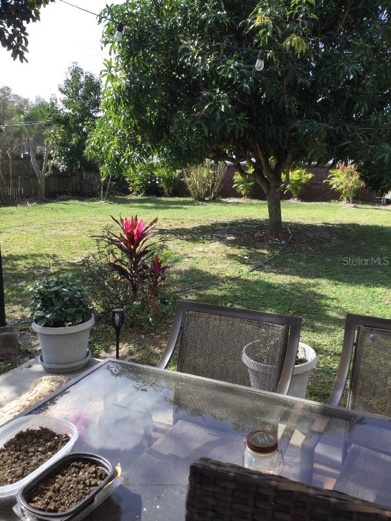 8509 Lyonia Dr Property Photo 44
