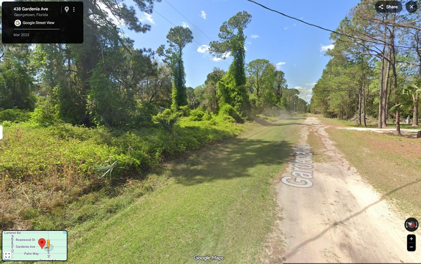 433 Gardenia Ave Property Photo 7