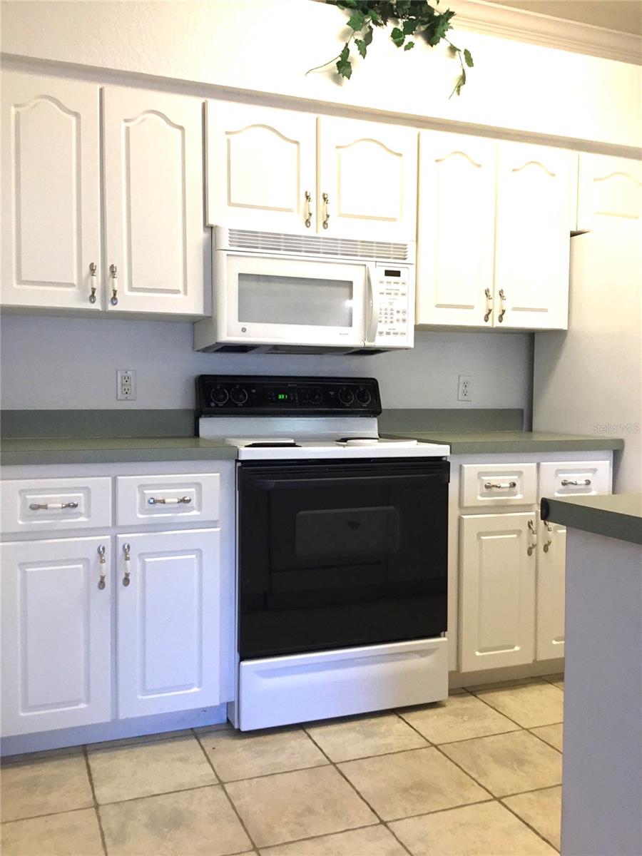 1101 Eagle Pond Dr #1101 Property Photo 4