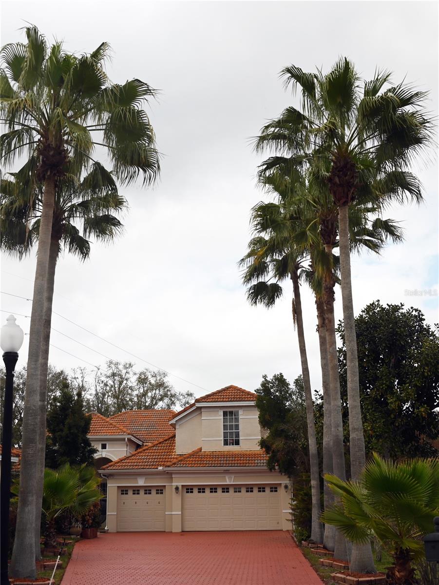8800 Oak Landings Ct Property Photo 2