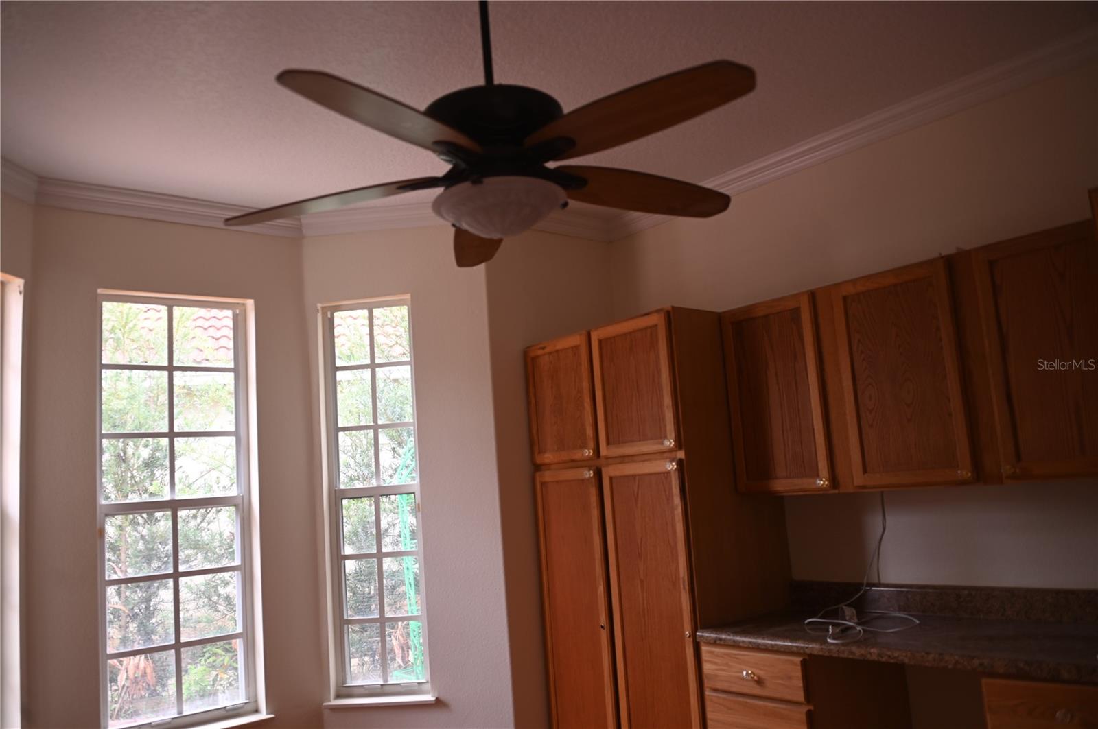 8800 Oak Landings Ct Property Photo 16
