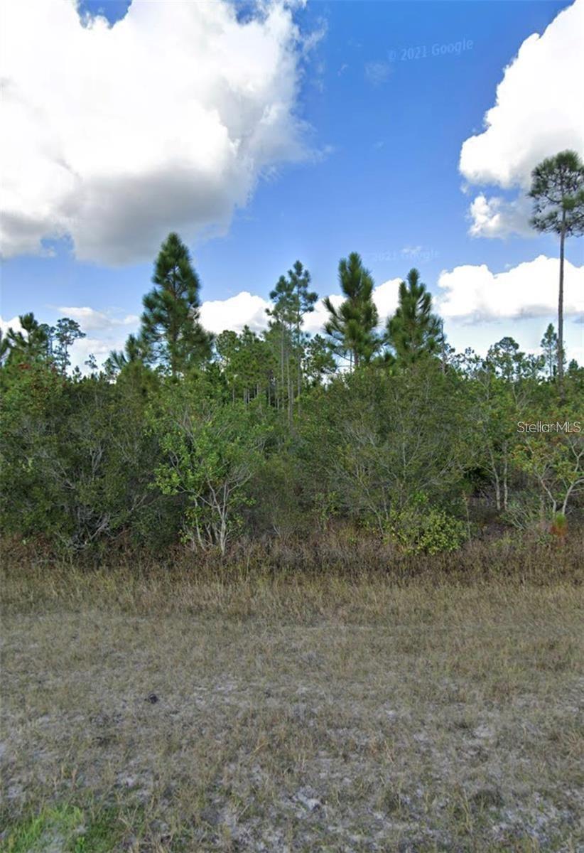 1008 Calliandra Dr Property Photo 9