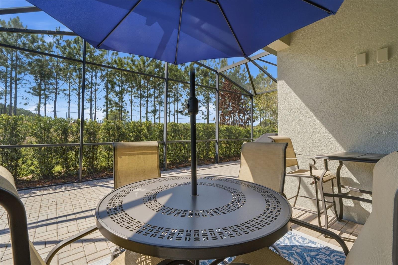 112 Castellon Ct Property Photo 6