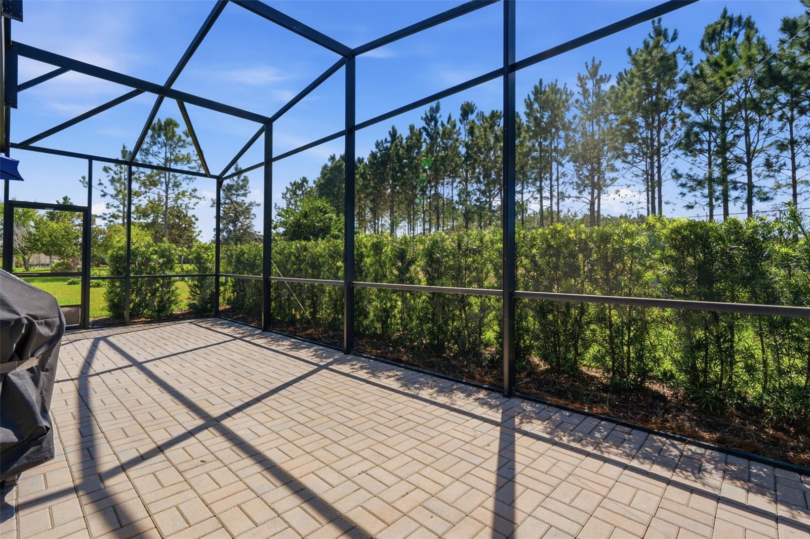 112 Castellon Ct Property Photo 9