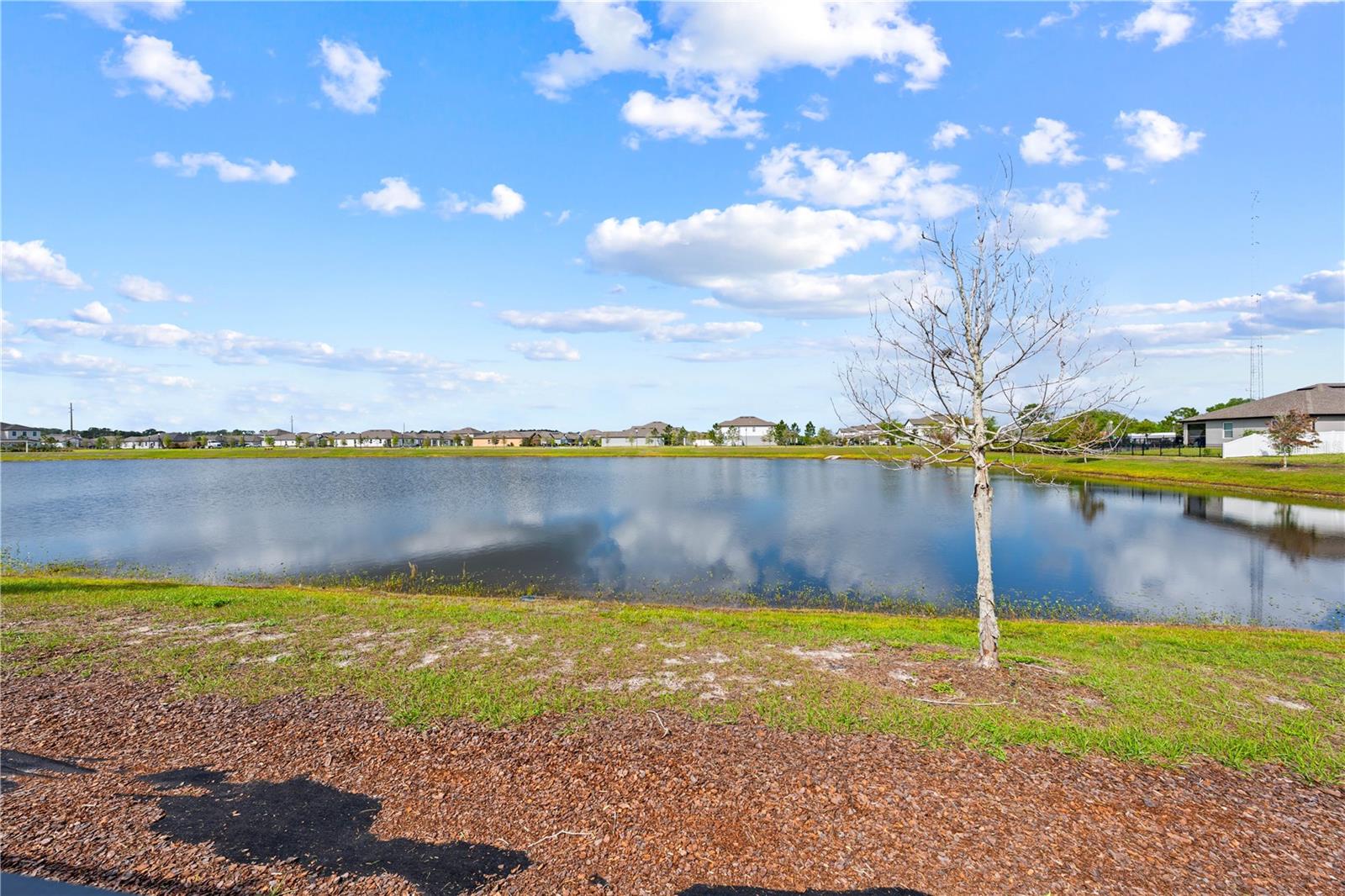 920 Livestock Loop Property Photo 29