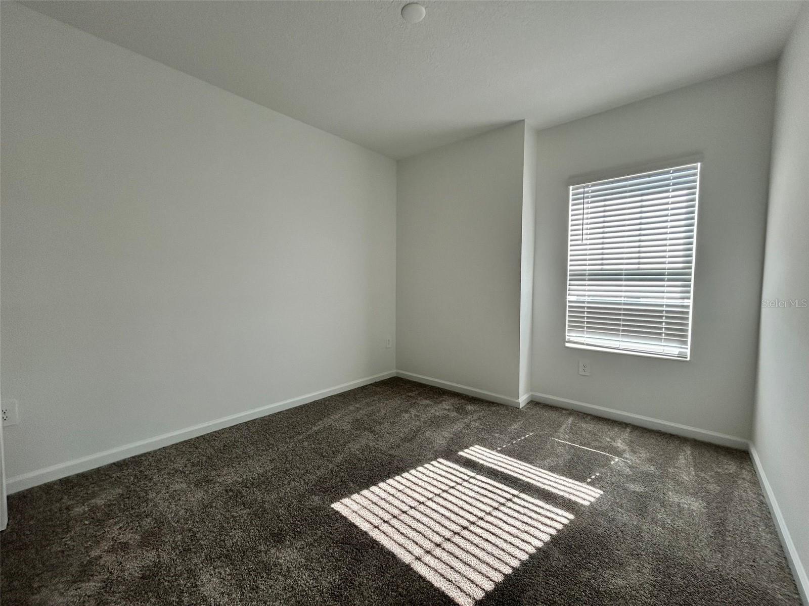 3019 Chantilly Dr Property Photo 15