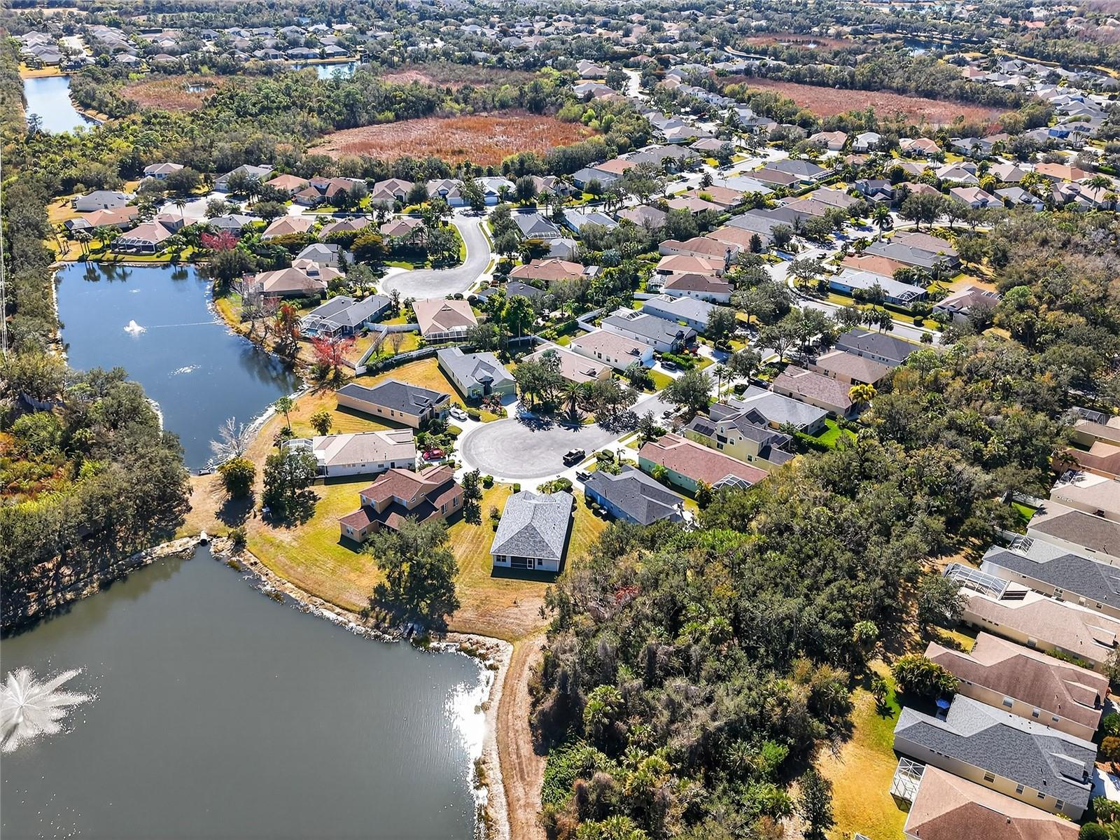 8124 Tabbystone Pl Property Photo 7
