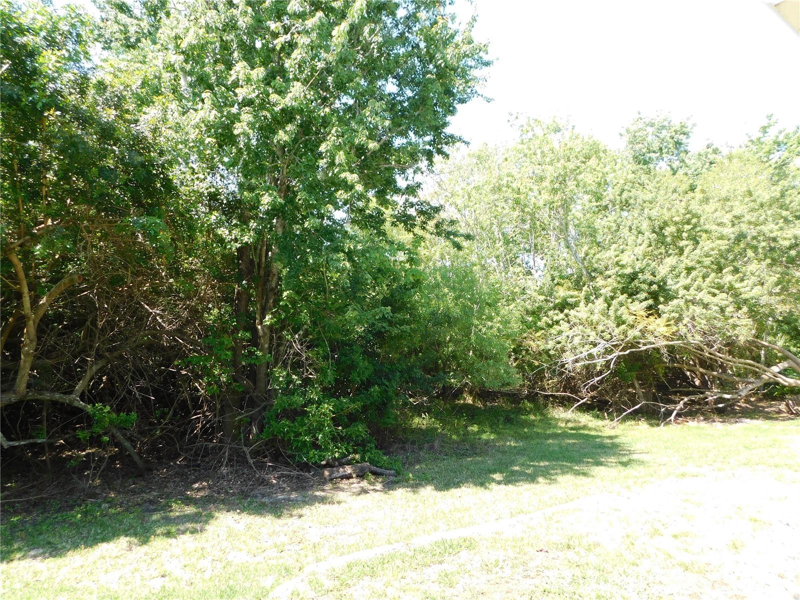 1720 Arabian Ln Property Photo 2
