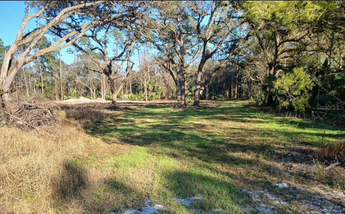 1013 Cupid Ave Property Photo 1
