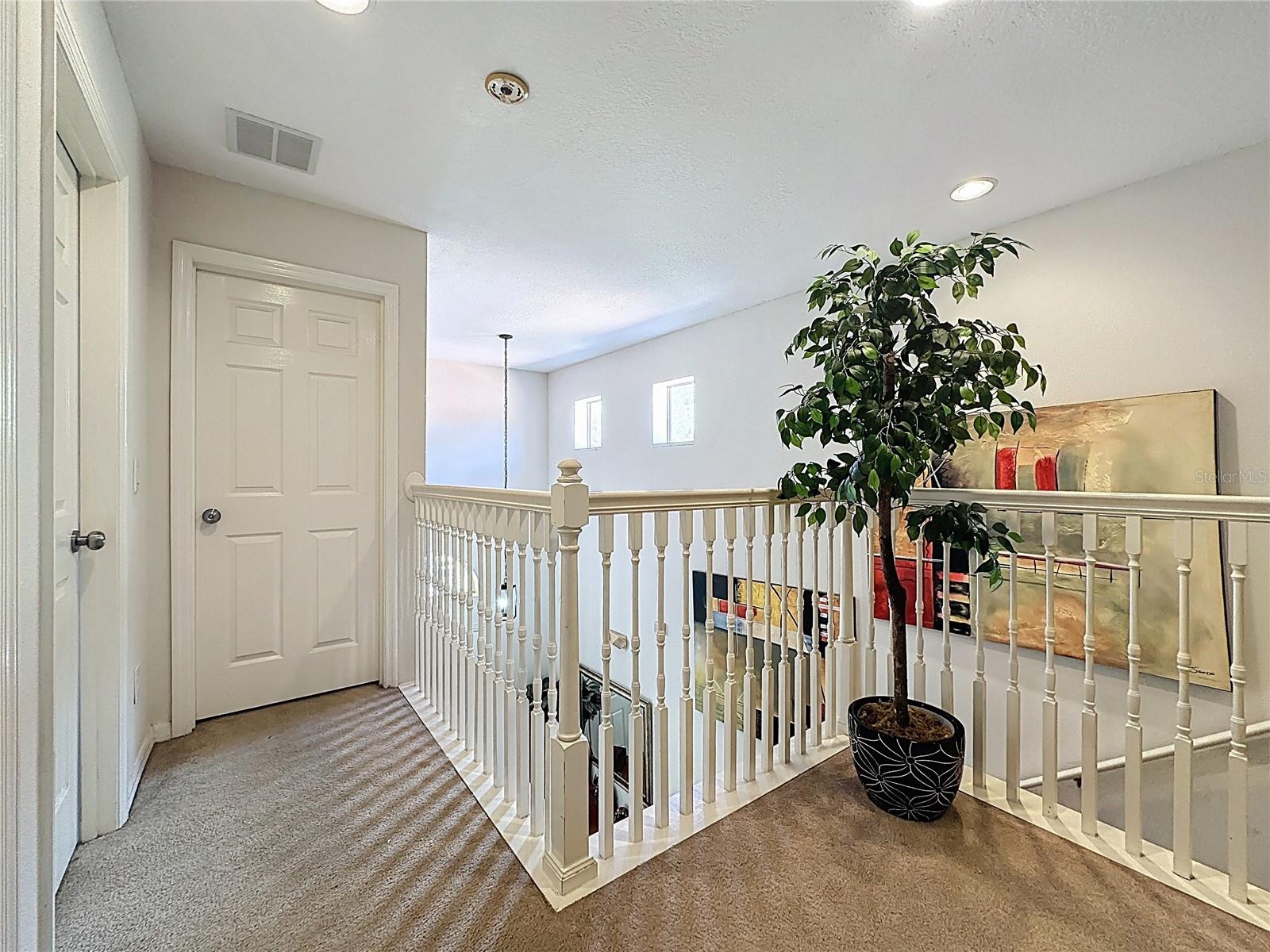 344 Orange Cosmos Blvd Property Photo 47