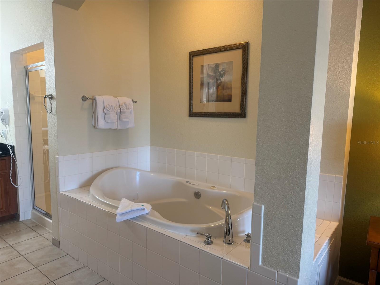 8100 Poinciana Blvd #2106 Property Photo 16