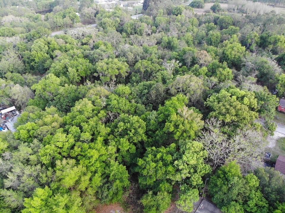 2156 Old Hickory Tree Rd Property Photo 1