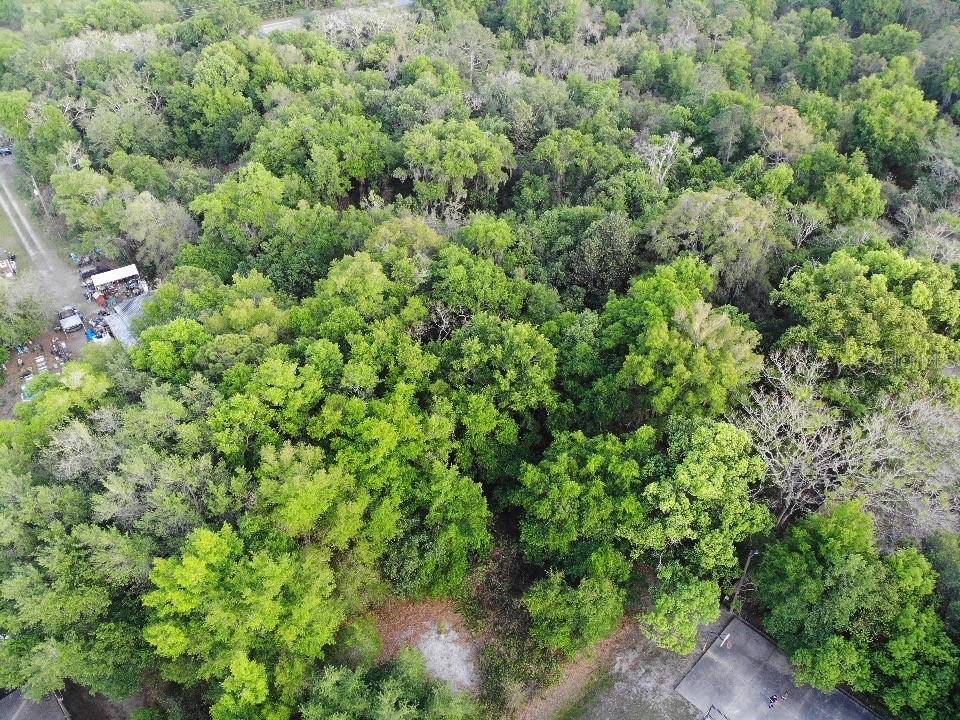 2156 Old Hickory Tree Rd Property Photo 2