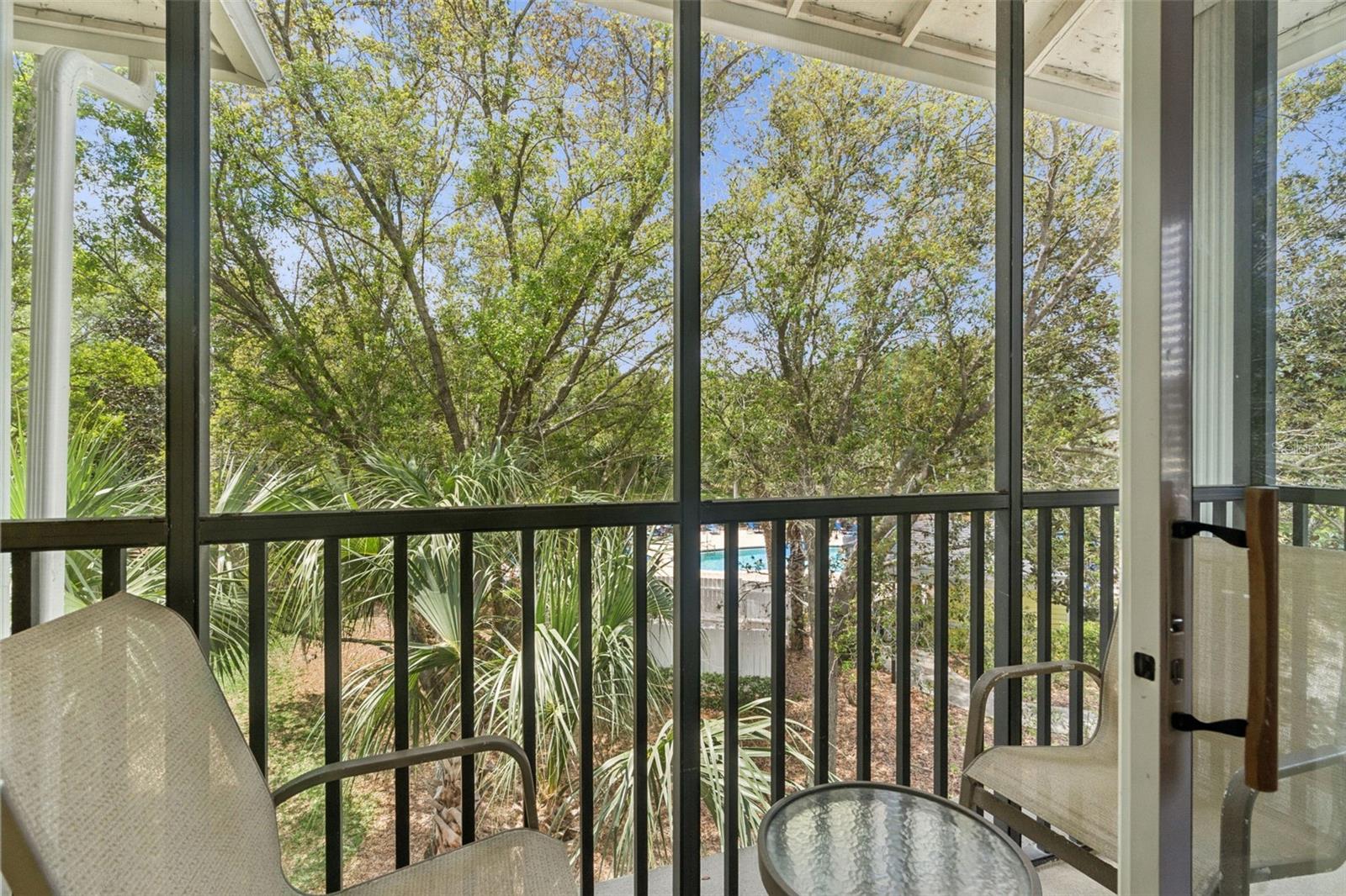 810 Lucaya Loop Property Photo 31