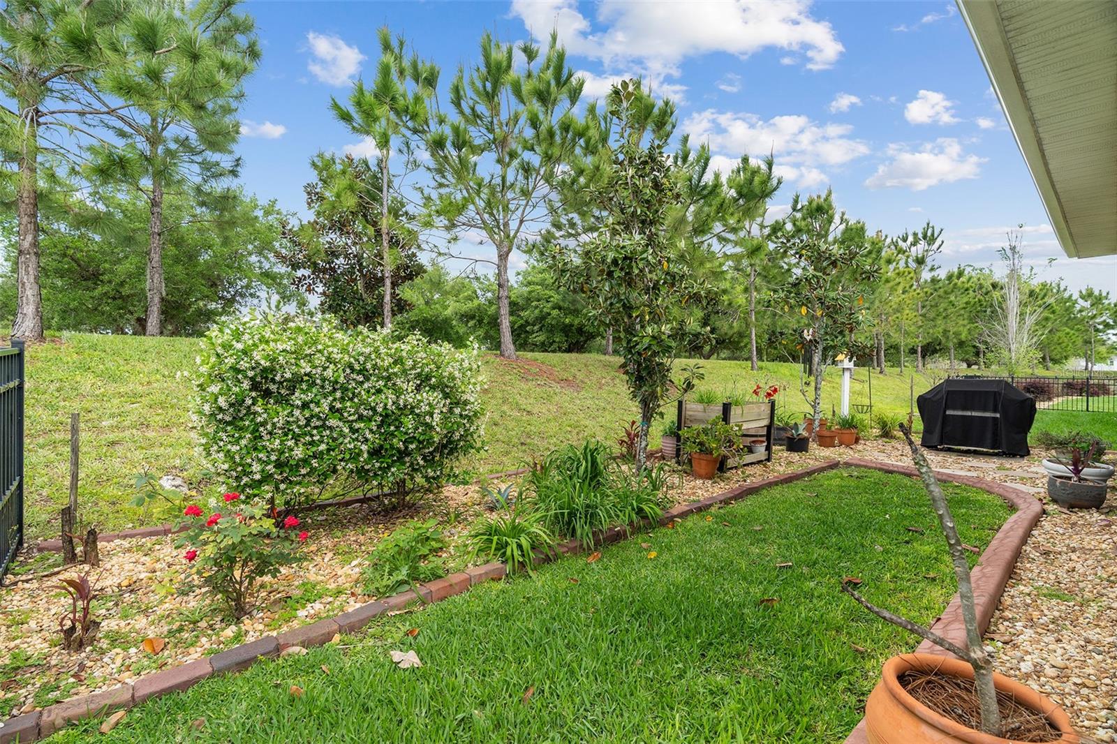 3113 Songbird Cir Property Photo 6