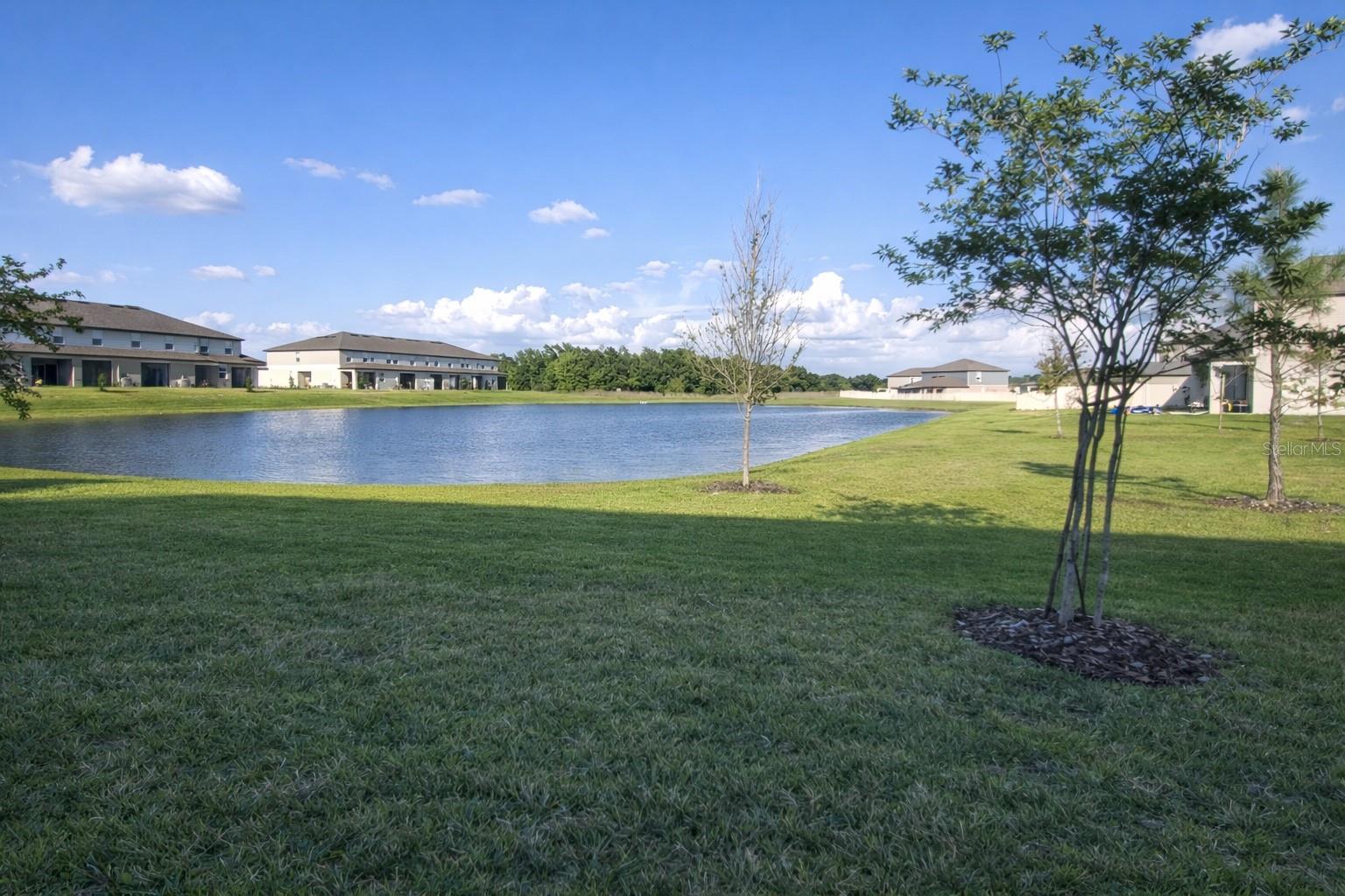 12420 Crystal Jade Way Property Photo 3