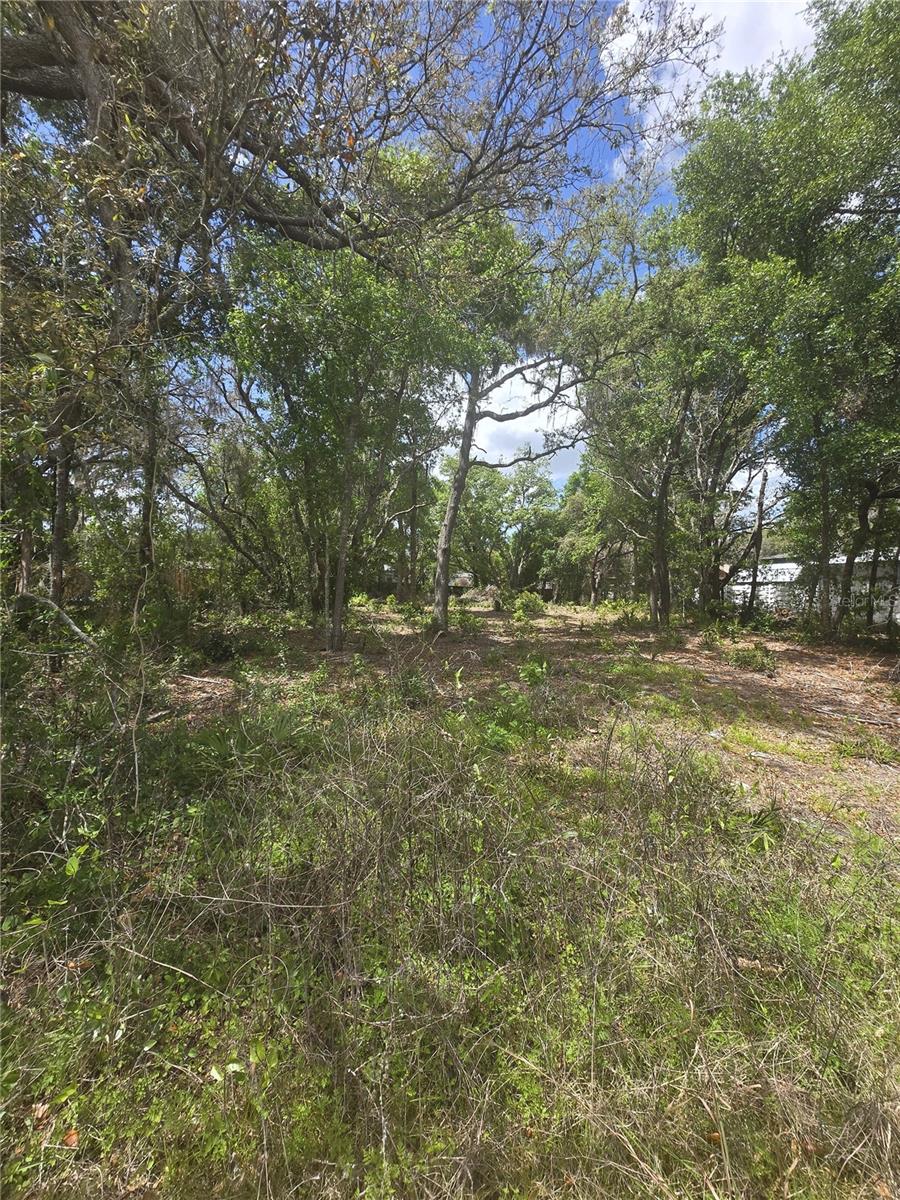 8140 Walt Williams Rd Property Photo 1
