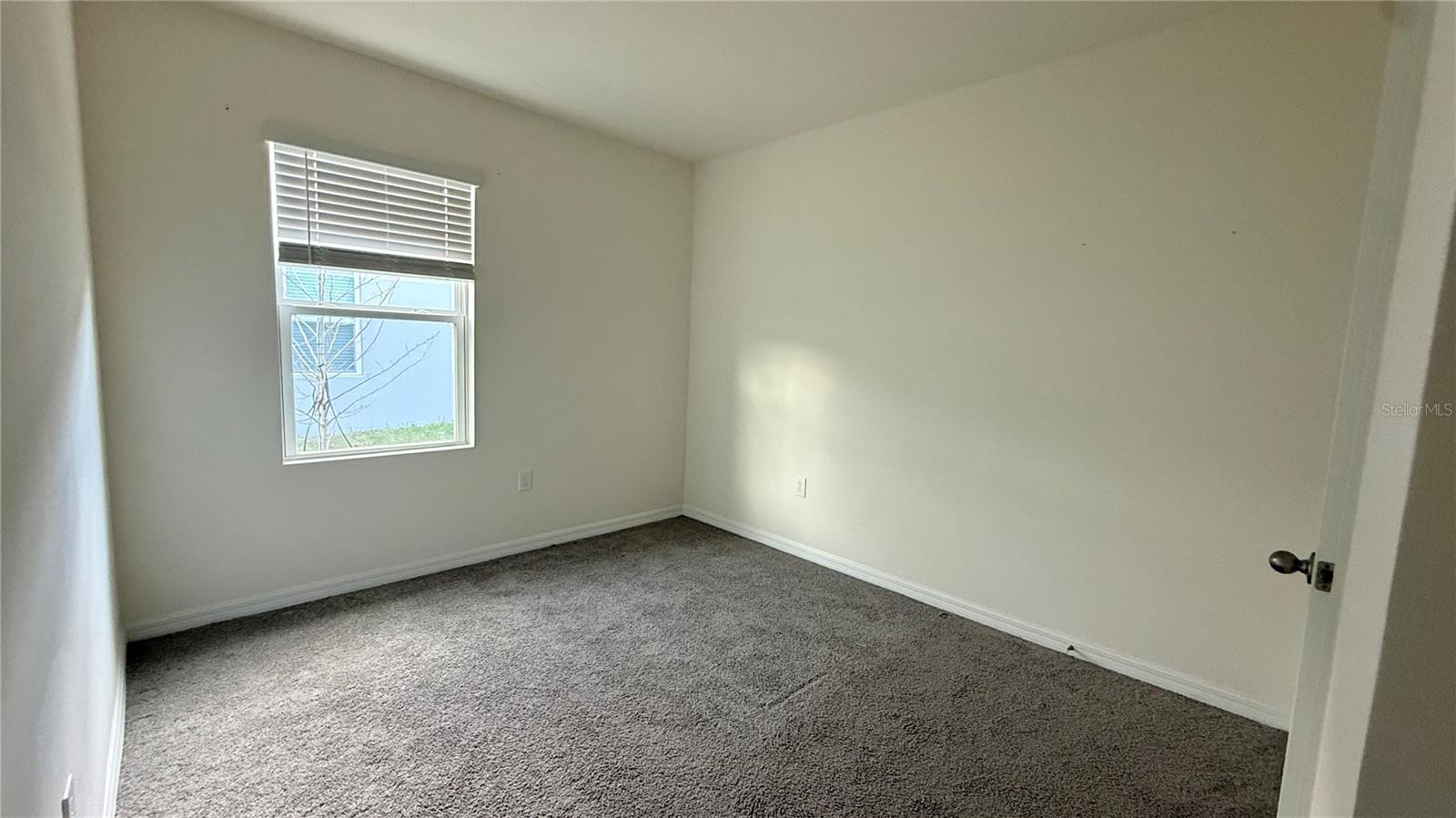 3732 Giorgio Dr Property Photo 11