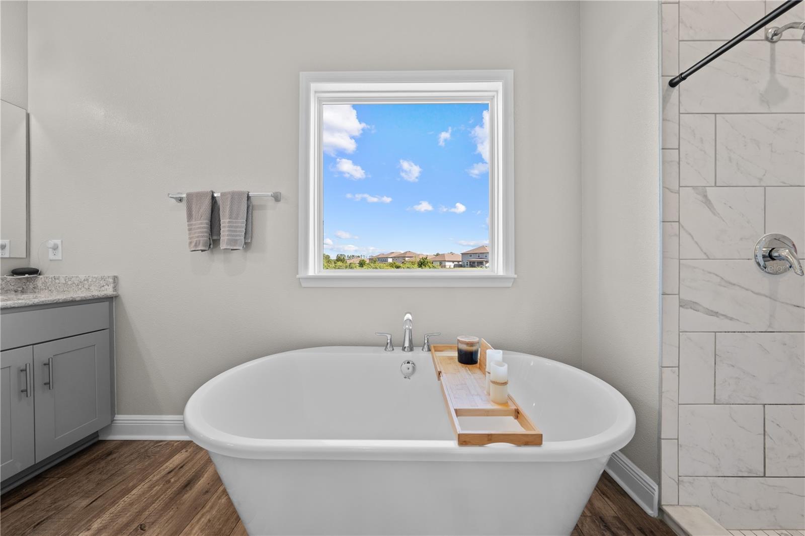 31041 Jazz Leaf Pl Property Photo 35