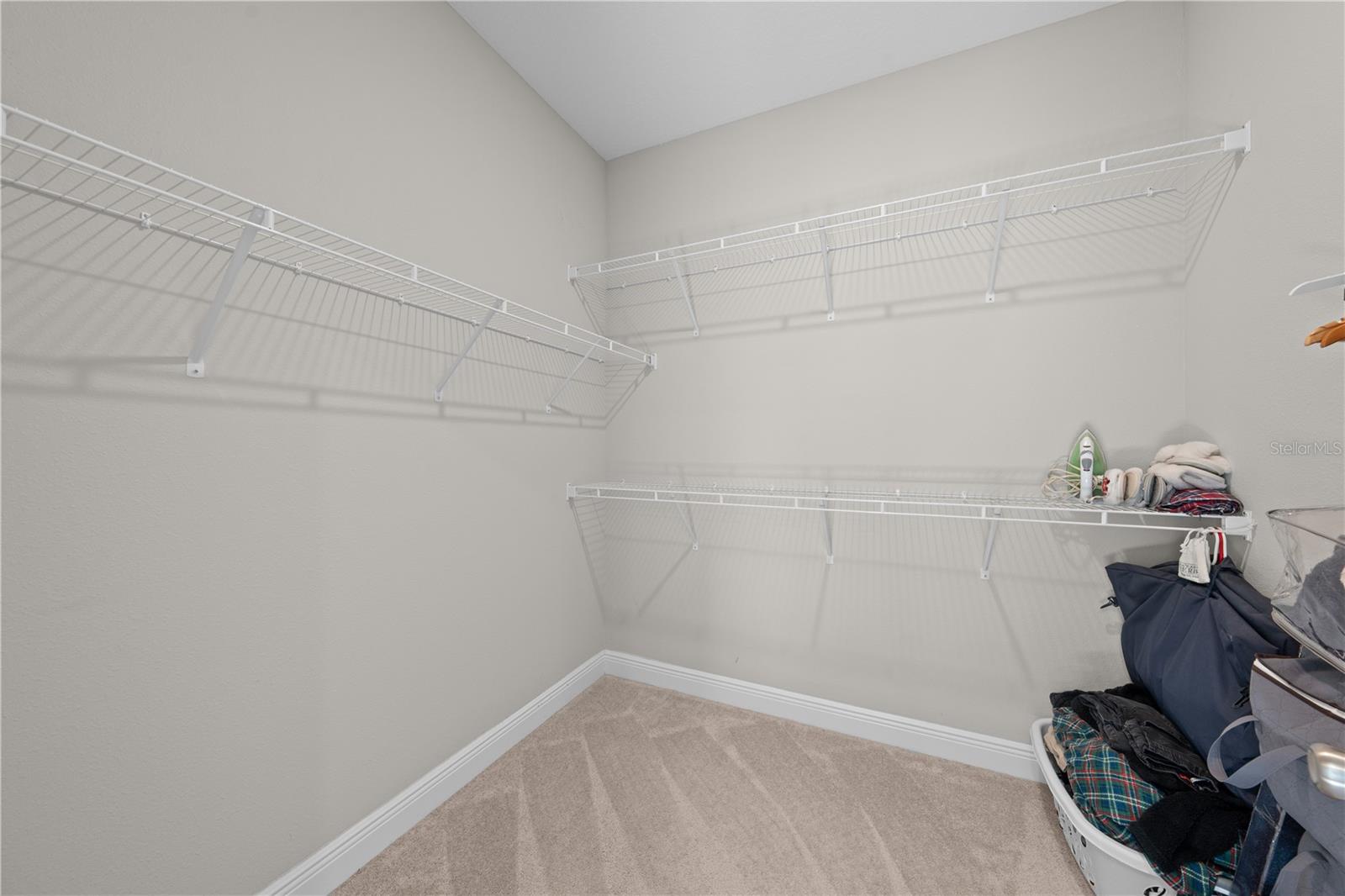 31041 Jazz Leaf Pl Property Photo 39