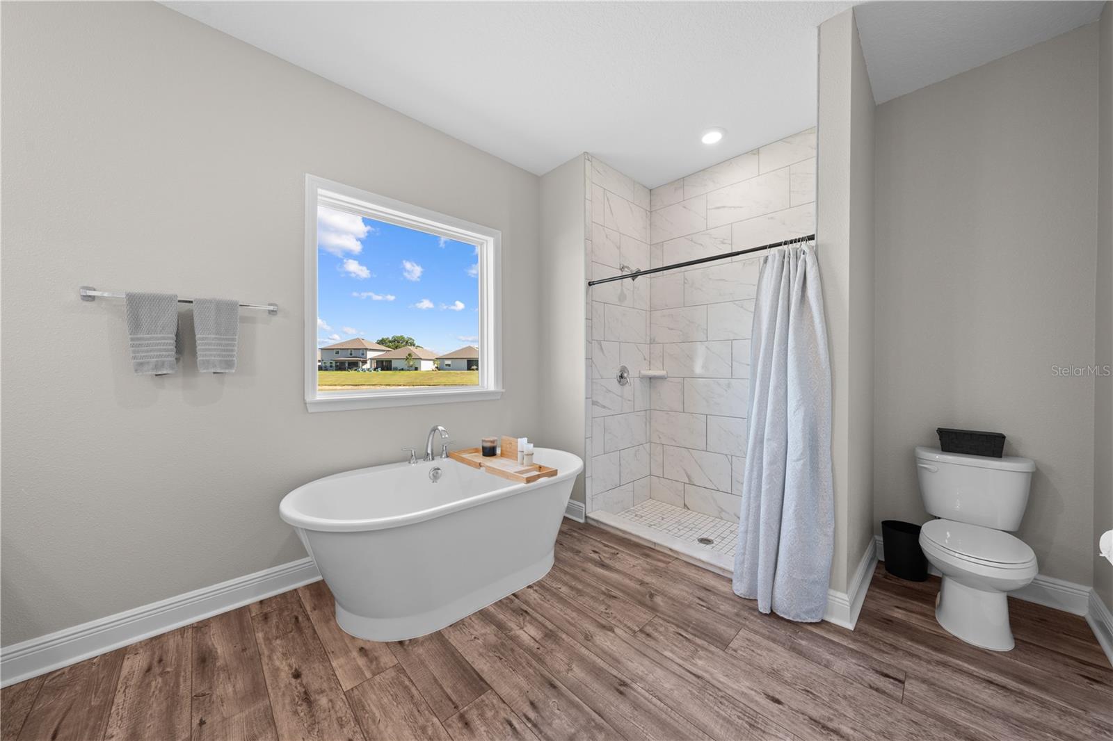 31041 Jazz Leaf Pl Property Photo 43