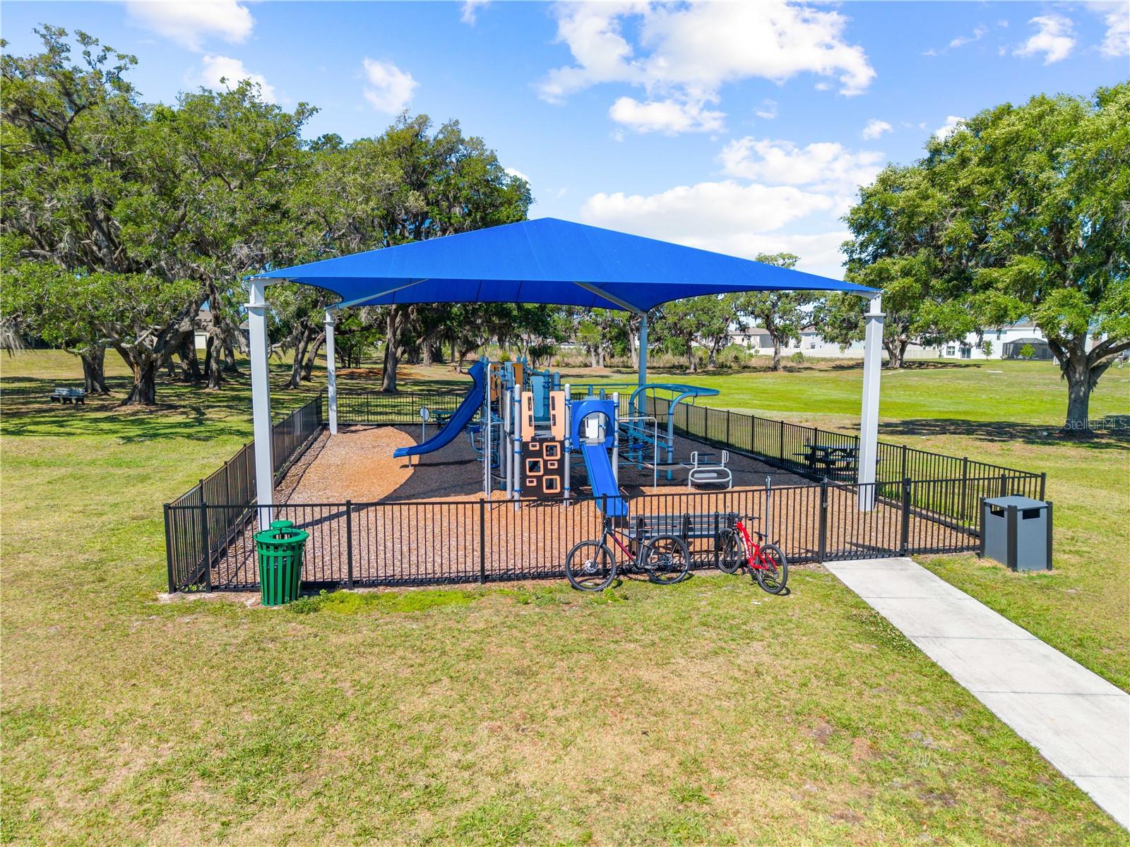 31041 Jazz Leaf Pl Property Photo 81