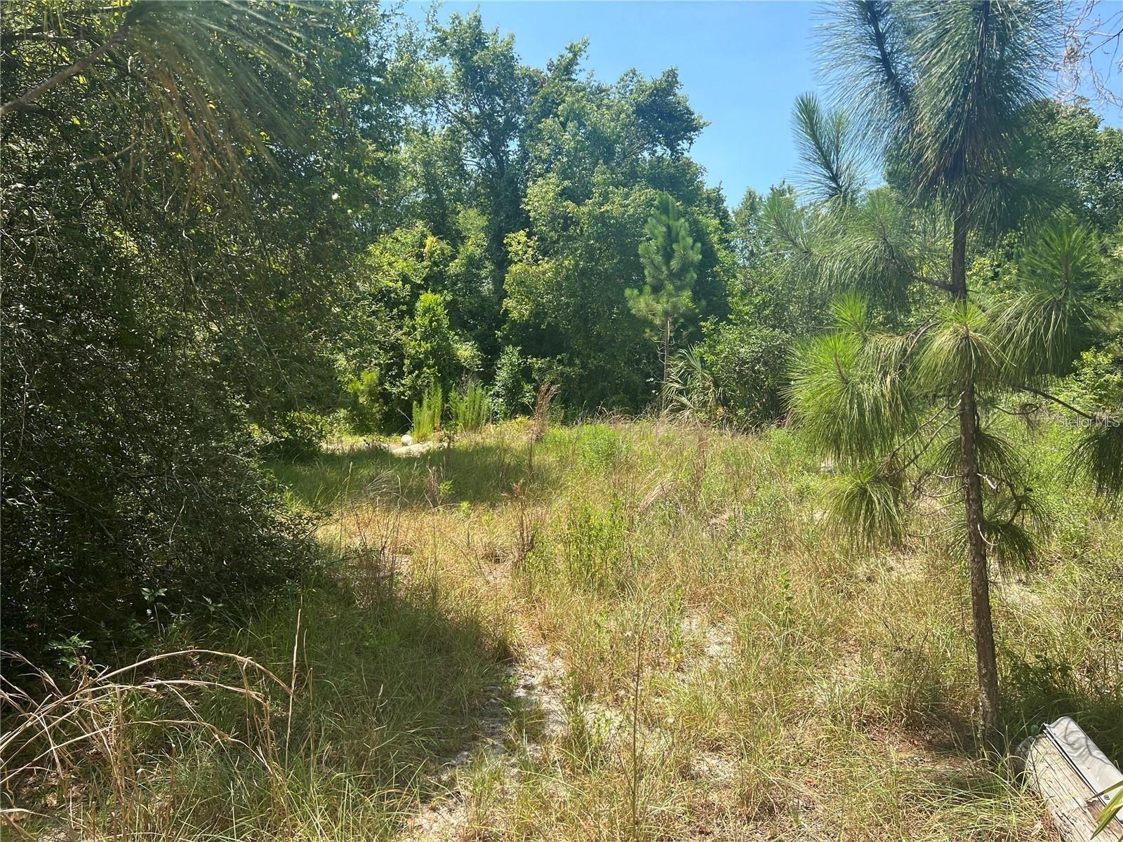 40314 LIME ST Property Photo 1