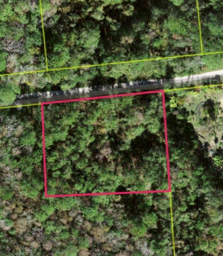 Lot 48 AMELIA TRL Property Photo 1